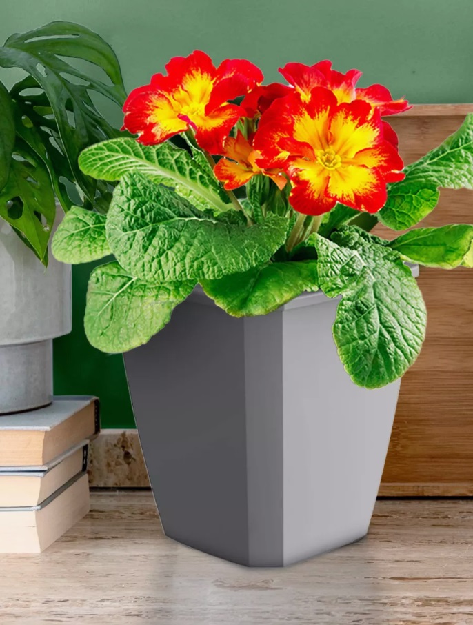 Кашпо пластм. "Лаунж" 2,4л 148x148мм h171мм со вставкой 1,6л Пыльно-серое С371ПСЕР ("Мартика") *1/12 Кашпо пластм. "Лаунж" 2,4л 148x148мм h171мм со вставкой 1,6л Пыльно-серое С371ПСЕР ("Мартика") *1/12