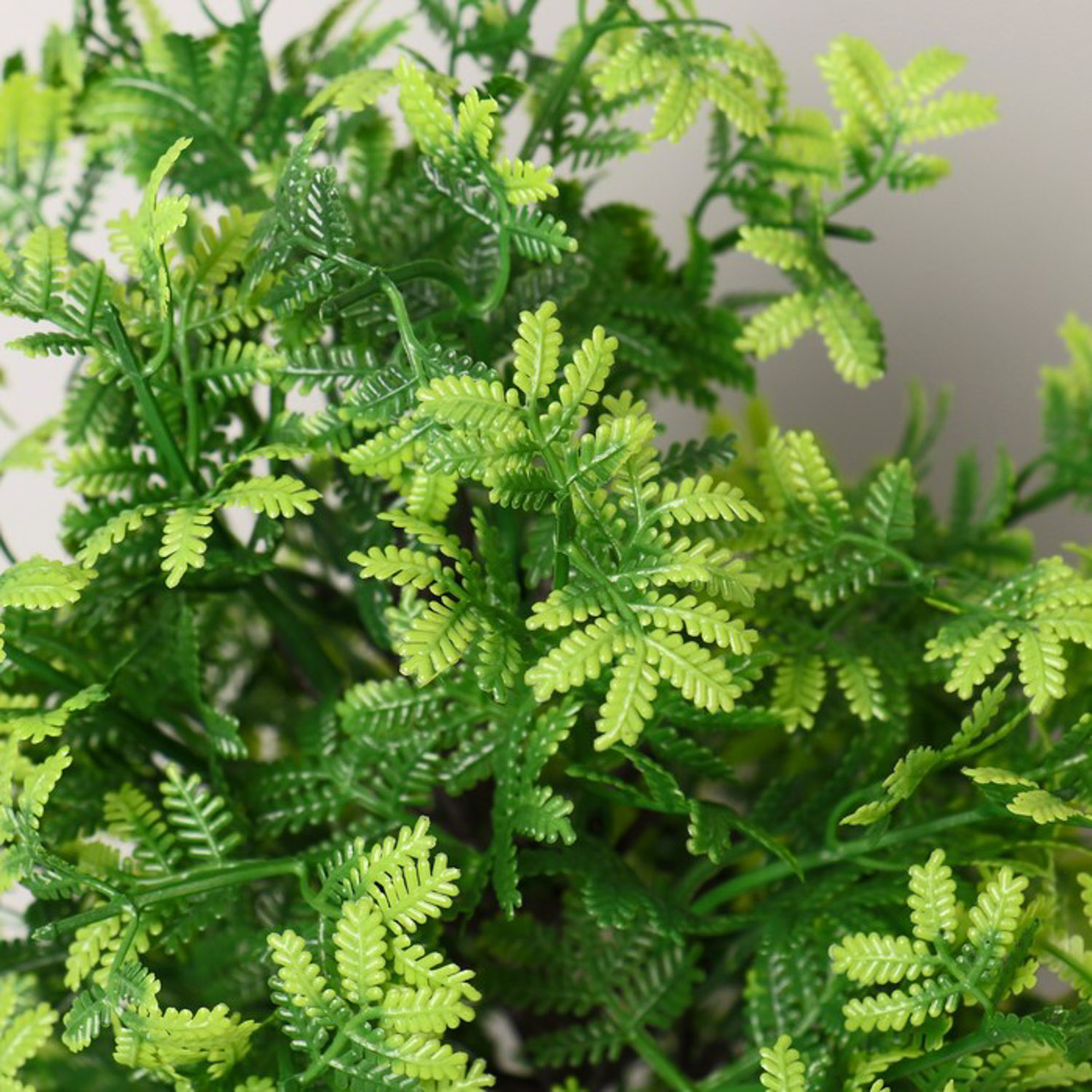 Бонсай в горшке "Колючник" 9х35 см 7081296