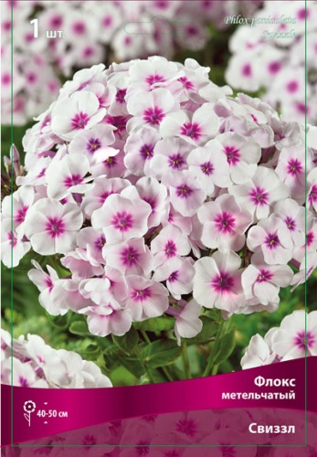 Флокс метельчатый Свиззл/К Флокс метельчатый Свиззл/К