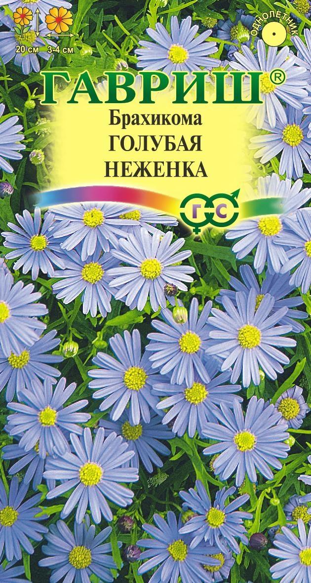 Семена Брахикома Голубая неженка 0,05гр Гавриш *10/200