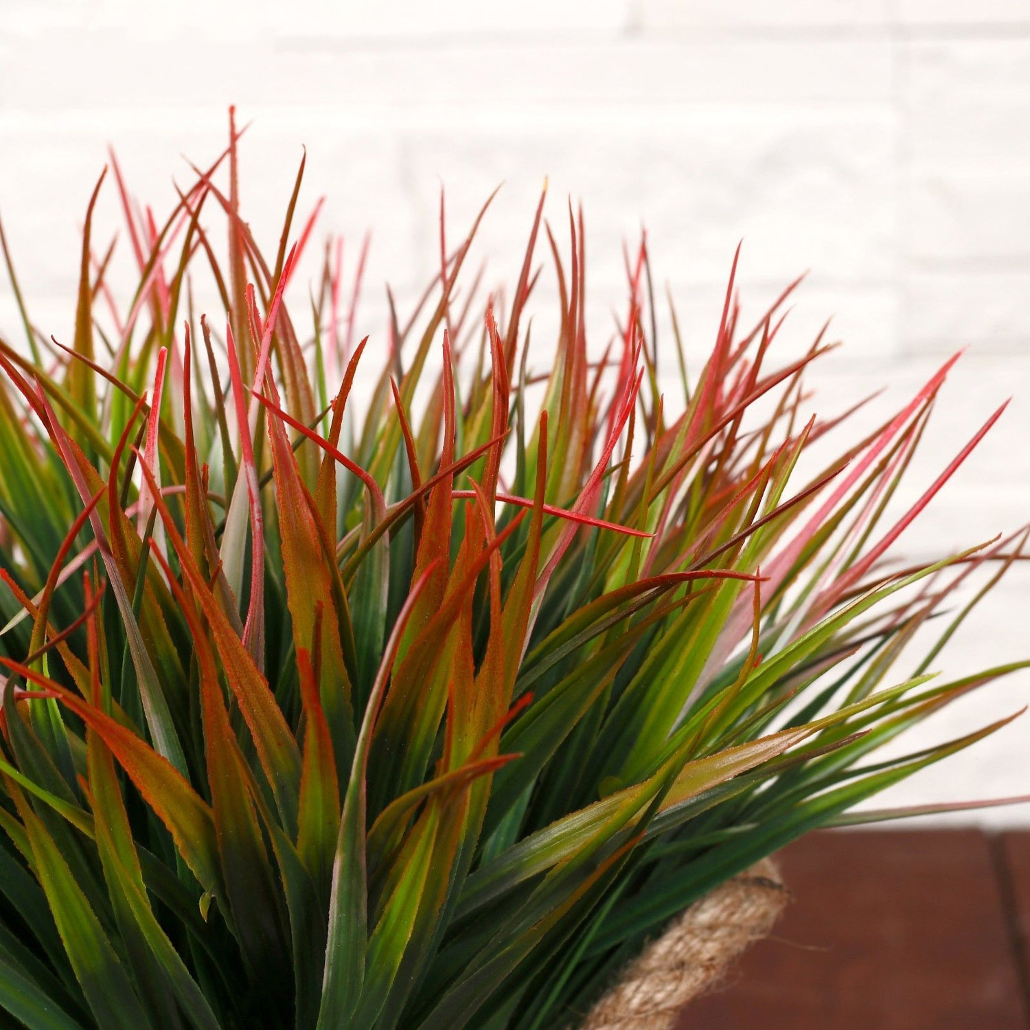 Бонсай в горшке "Садовый рай" осока 11*22 см    4142820