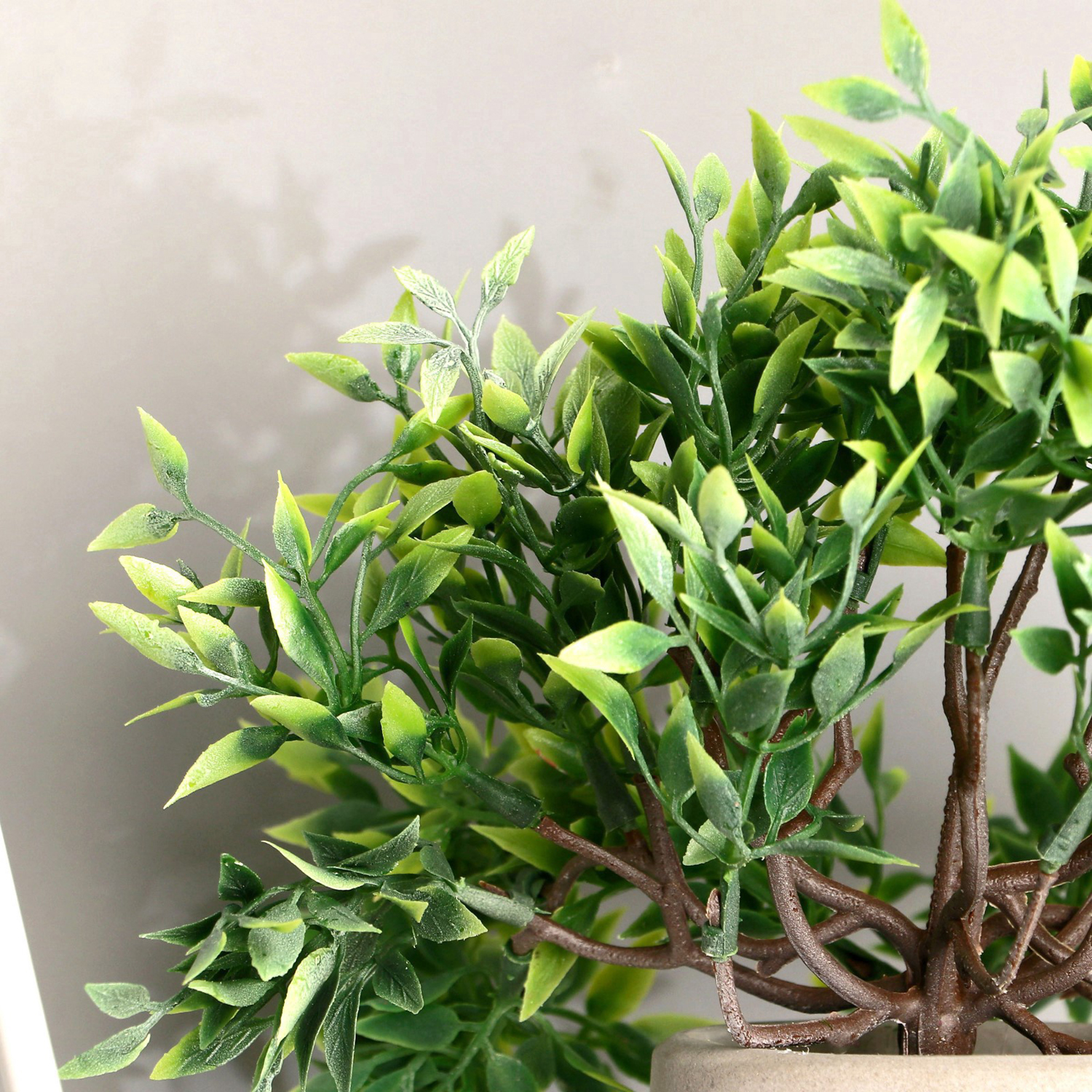 Бонсай в горшке "Фрутикоса пышная" 14х20 см, микс  9222724