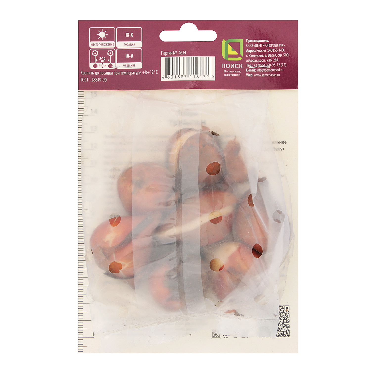 Тюльпан Бахромчатый Катар 11-12/7шт