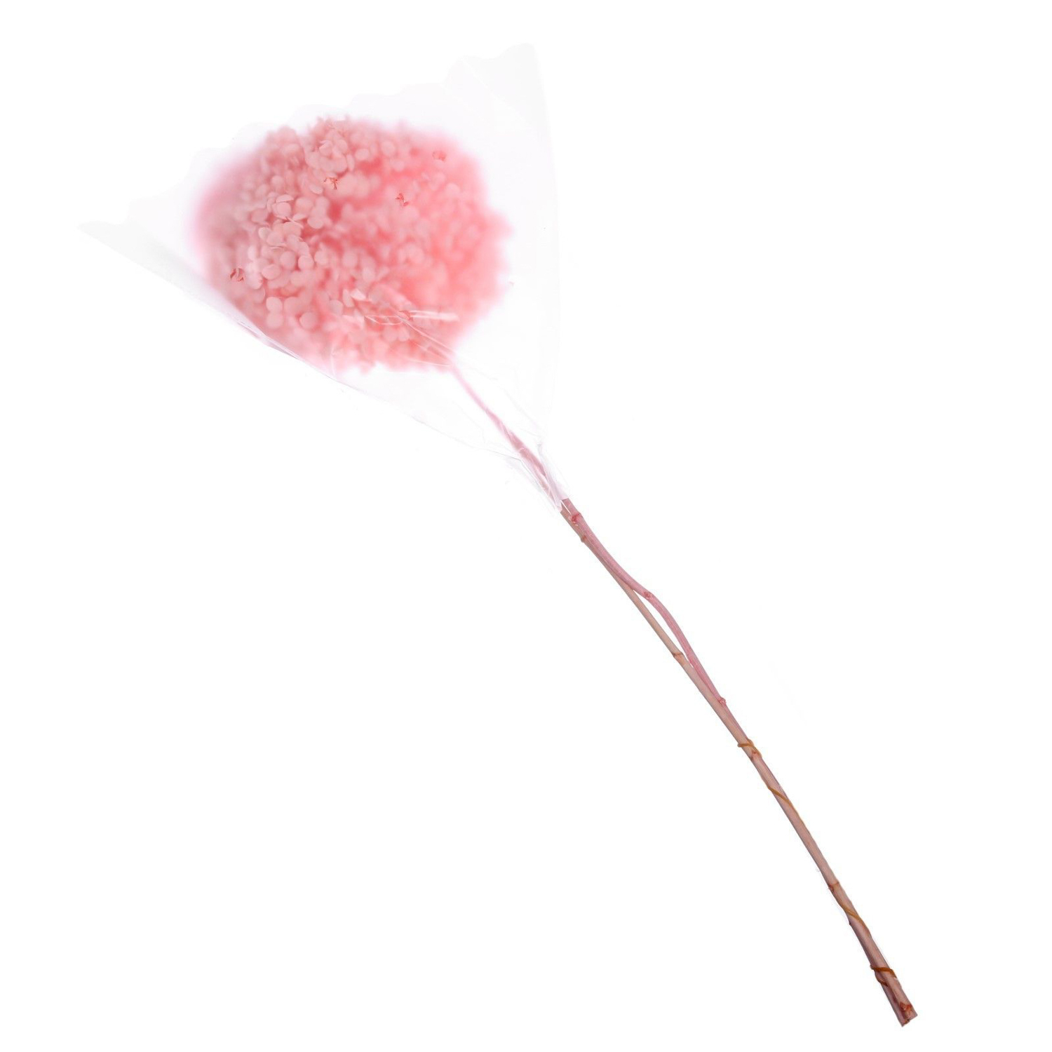 Сухоцвет Гортензия крупнолистовая, розовая, 1 веточка 50 - 70 см в упаковке   7749540