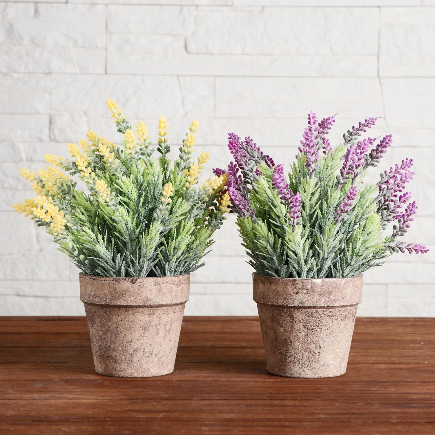 Бонсай в горшке "Сантолина" 10х22 см, микс   5201998