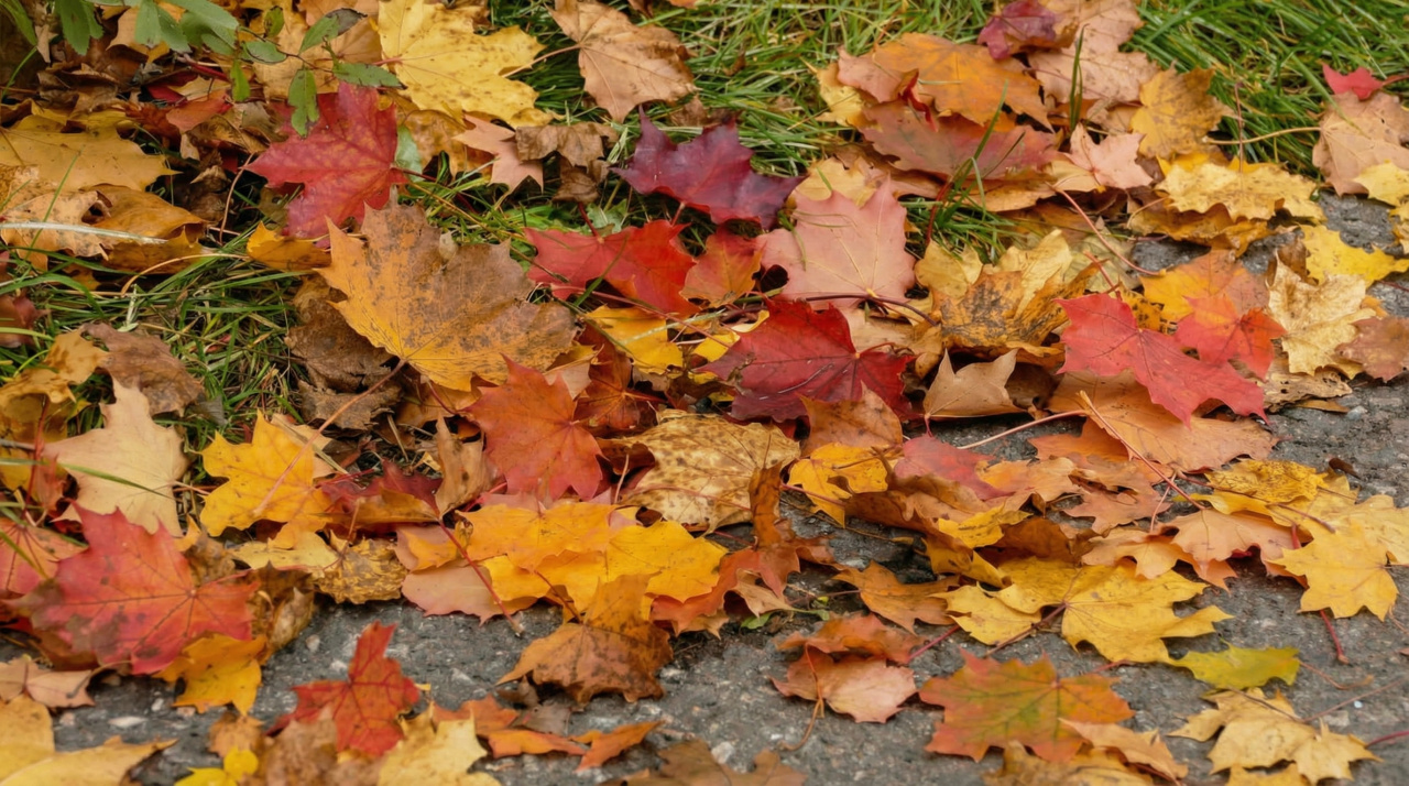 308ce3cf1b34048128e20abaced579bf_c33a252c-171e-44ff-b654-59dbdfd0974f.png 308ce3cf1b34048128e20abaced579bf_c33a252c-171e-44ff-b654-59dbdfd0974f.png