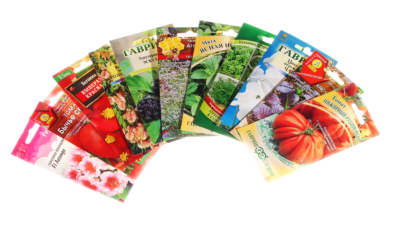 Семена_1 (1) (2).jpg Семена_1 (1) (2).jpg