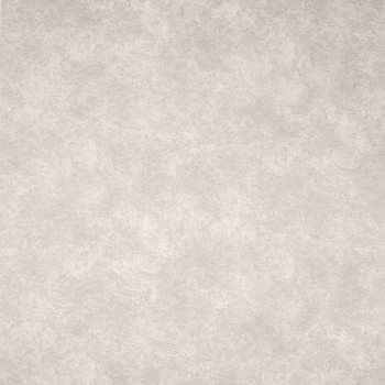 Обои  флиз. "Эрисманн" Profi Deco Maison фон (сер.) 60846-05 10.05х1.06м *6