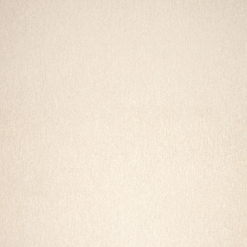 Обои  флиз. "Эрисманн" Bali фон (беж.) 60812-04 10.05х1.06м *6