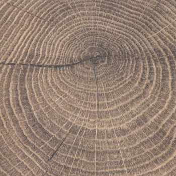 Ламинат 1.48 м² Eurohome Art, 1285х192х12 мм, 33 класс, 4V, дуб мерида U609